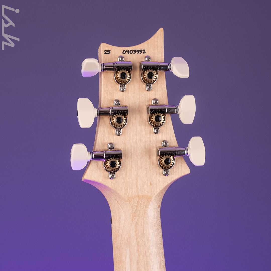 PRS Swamp Ash Special Black Doghair Smokeburst