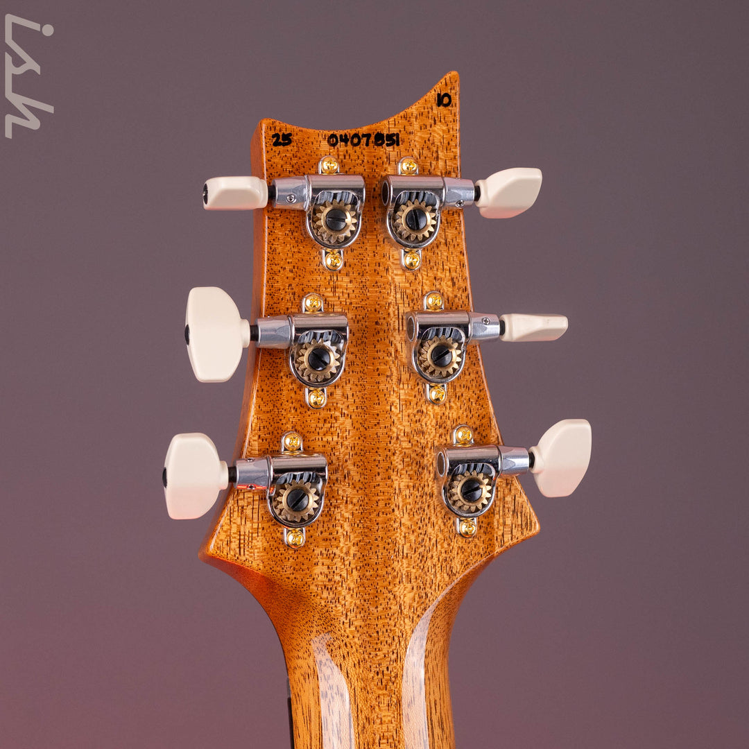 PRS Custom 24 10 Top Aurora Borealis *New Color!*