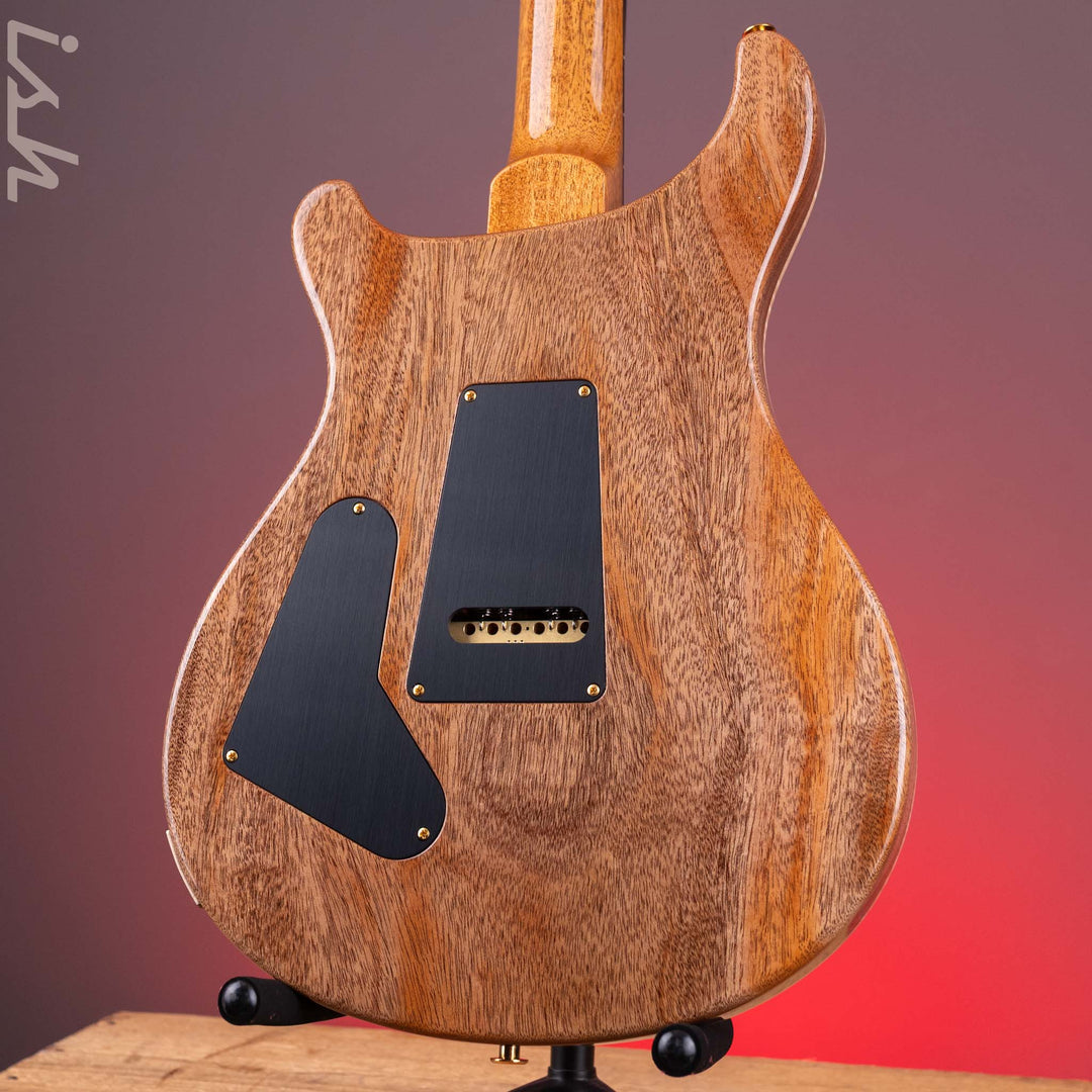PRS Custom 24 10 Top Aurora Borealis *New Color!*