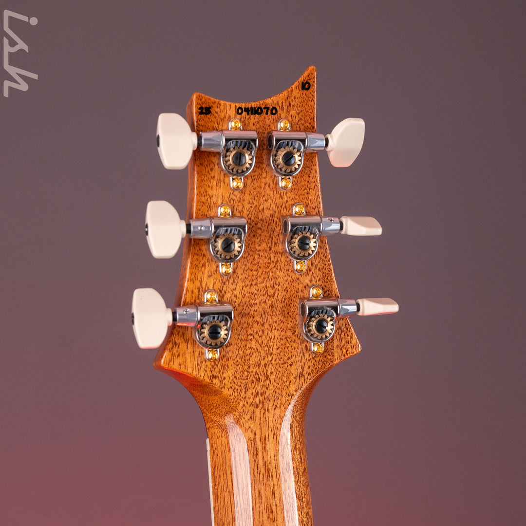 PRS McCarty 594 10-Top Purple Iris