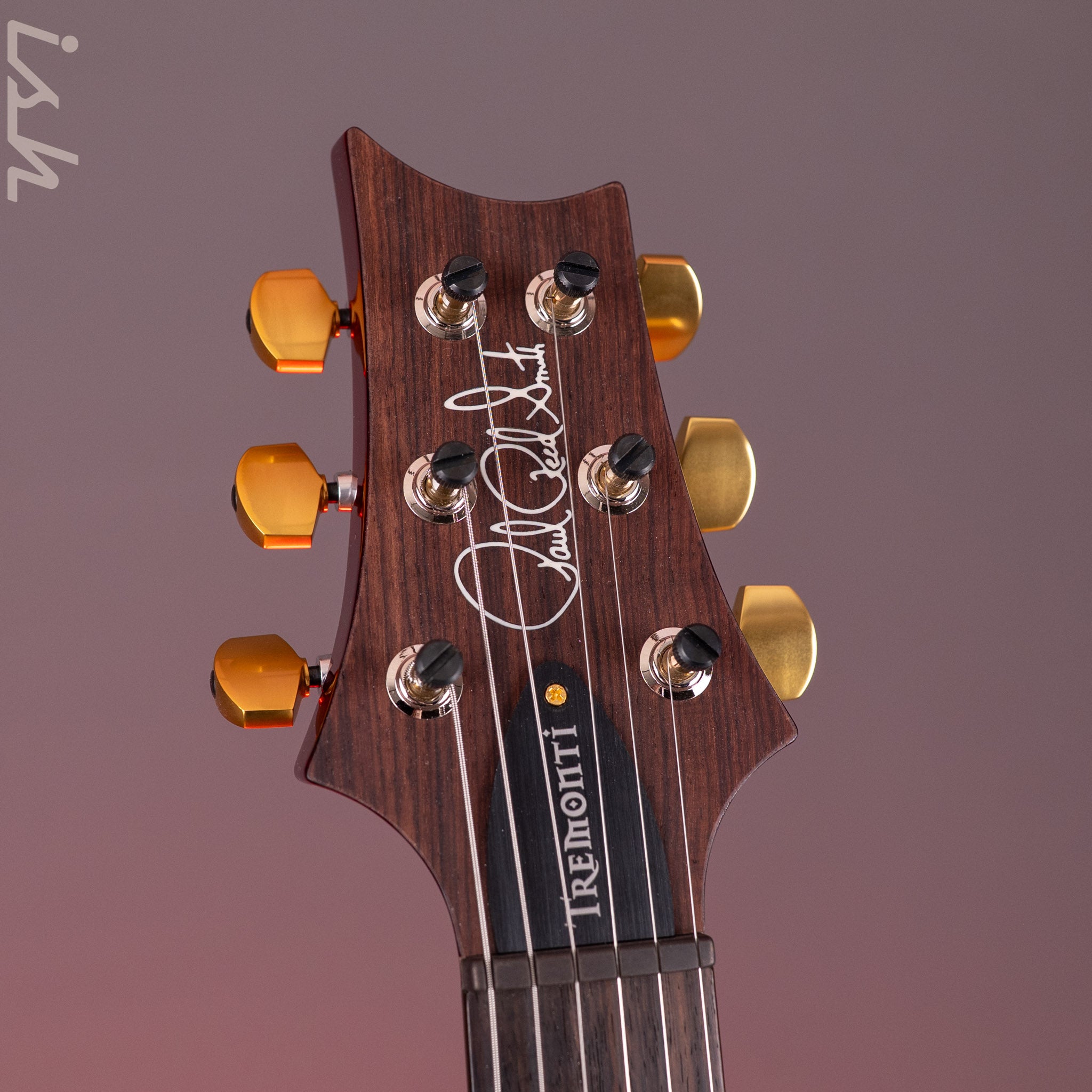 PRS Tremonti 10-Top Charcoal Purple Burst (Natural Binding) – Ish