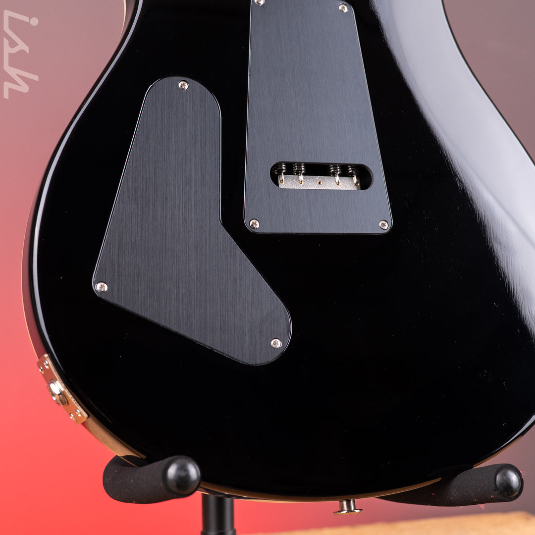 PRS Custom 24 Floyd 10-Top Purple Mist