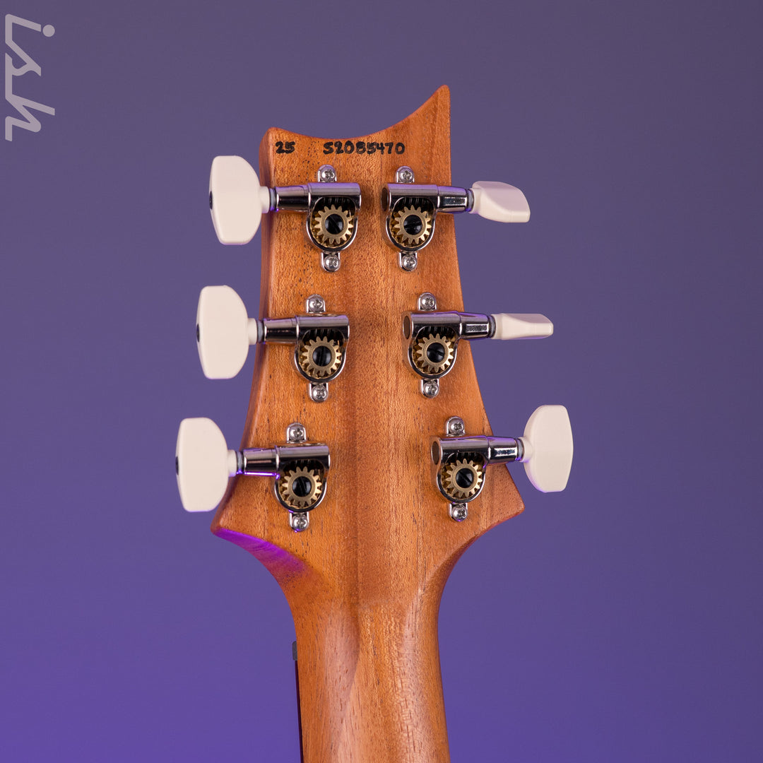PRS S2 Special Semi-Hollow Reclaimed Limited Edition