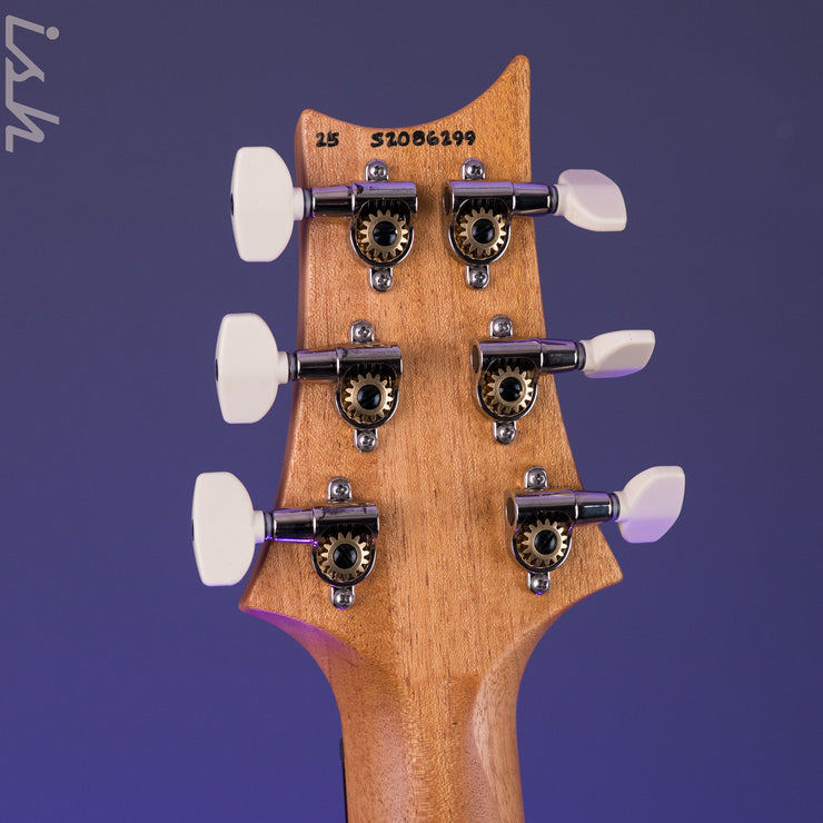 PRS S2 Special Semi-Hollow Reclaimed Limited Edition