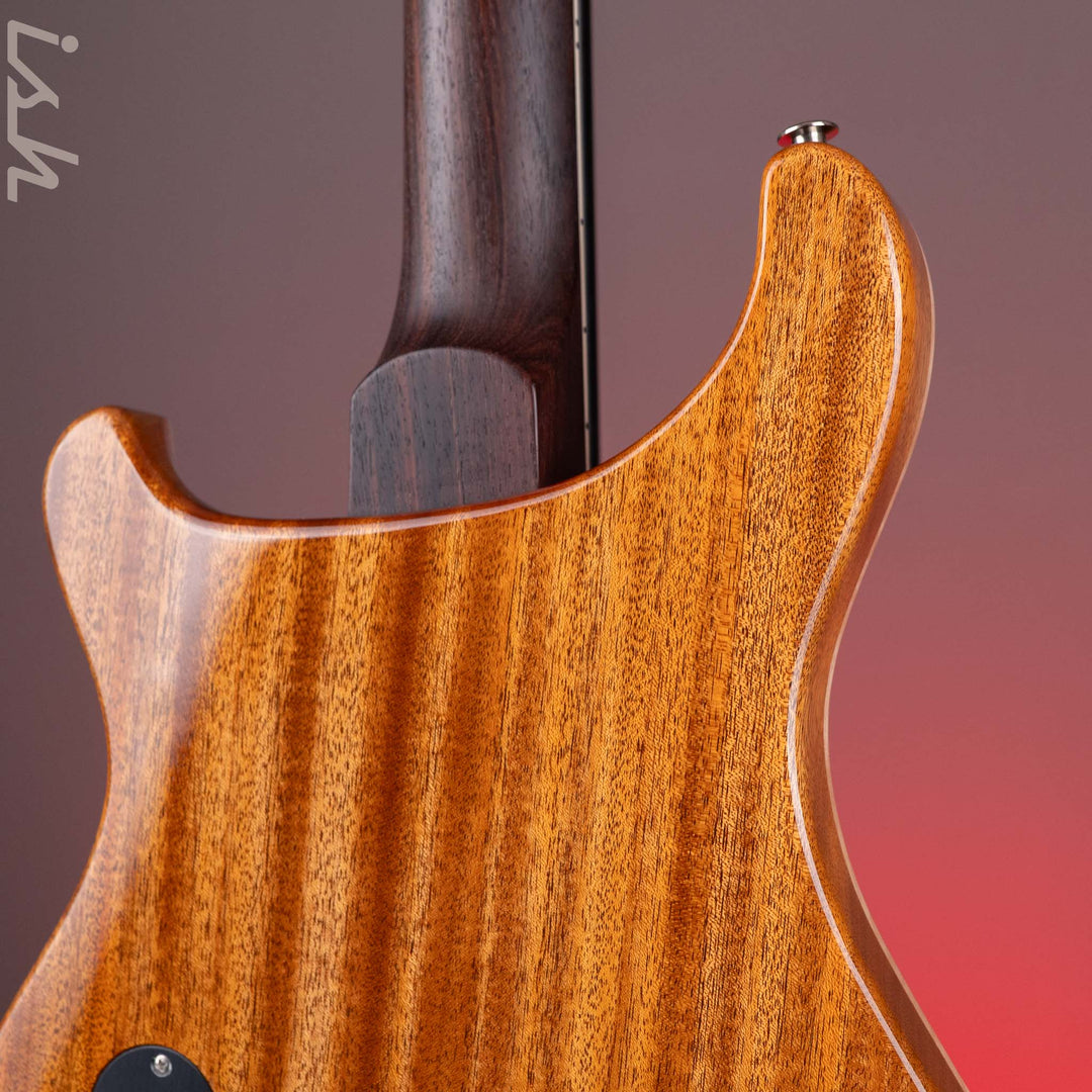 PRS Wood Library Paul&