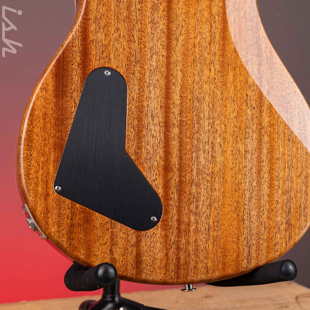 PRS Wood Library Paul&