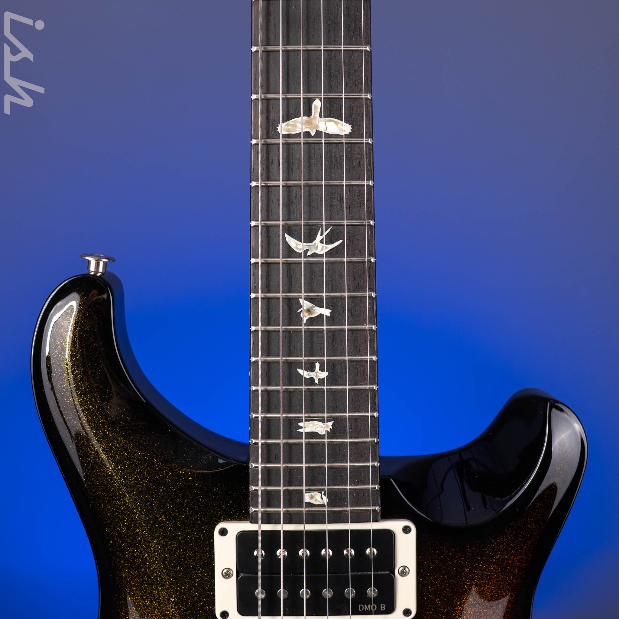 PRS Custom 24 Fire Holoflake Fade w/Matching Neck Sprayer's Choice