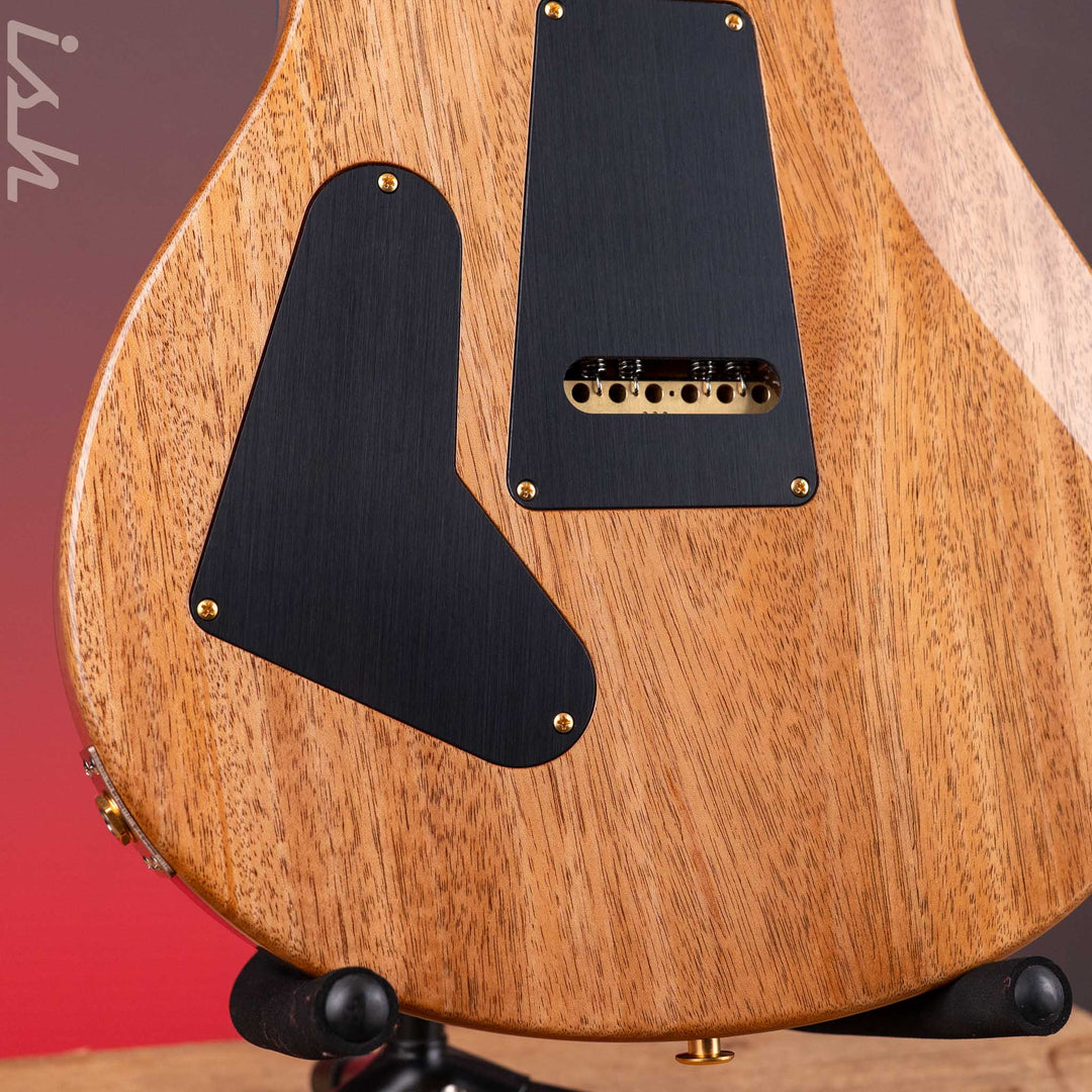 PRS Custom 24 10-Top River Blue Custom Color