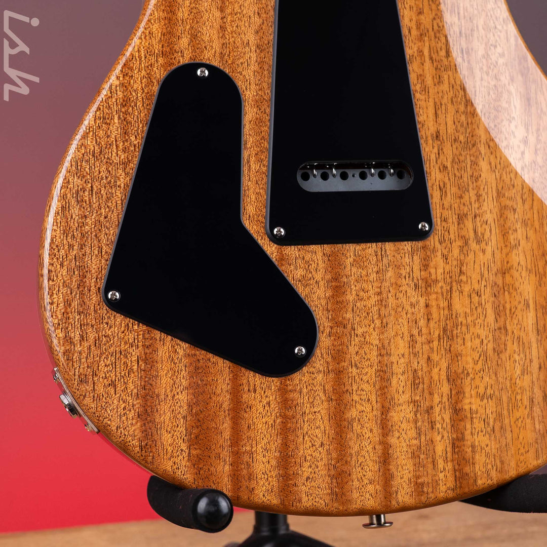 PRS CE 24 Special Custom Color