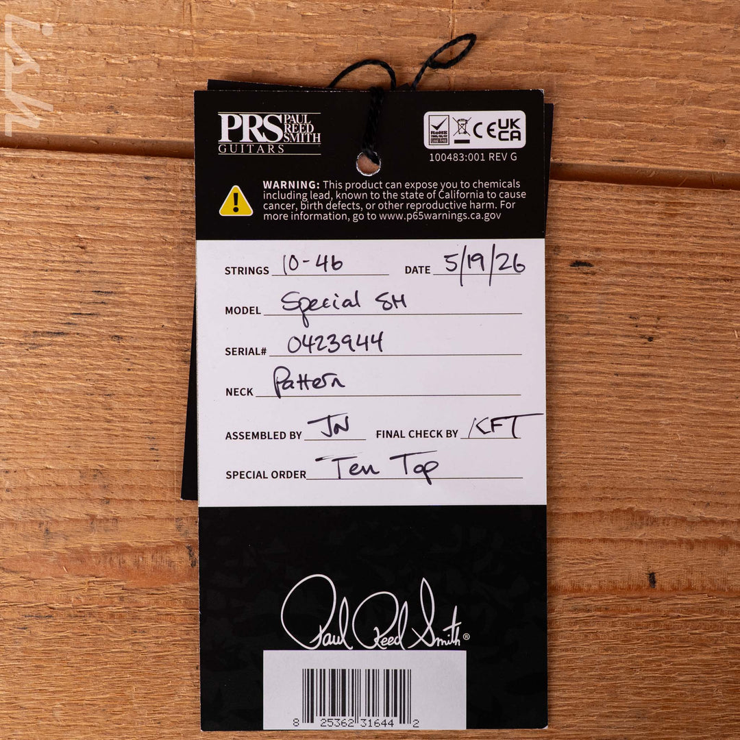 PRS Wood Library Special Semi-Hollow 10-Top Violet