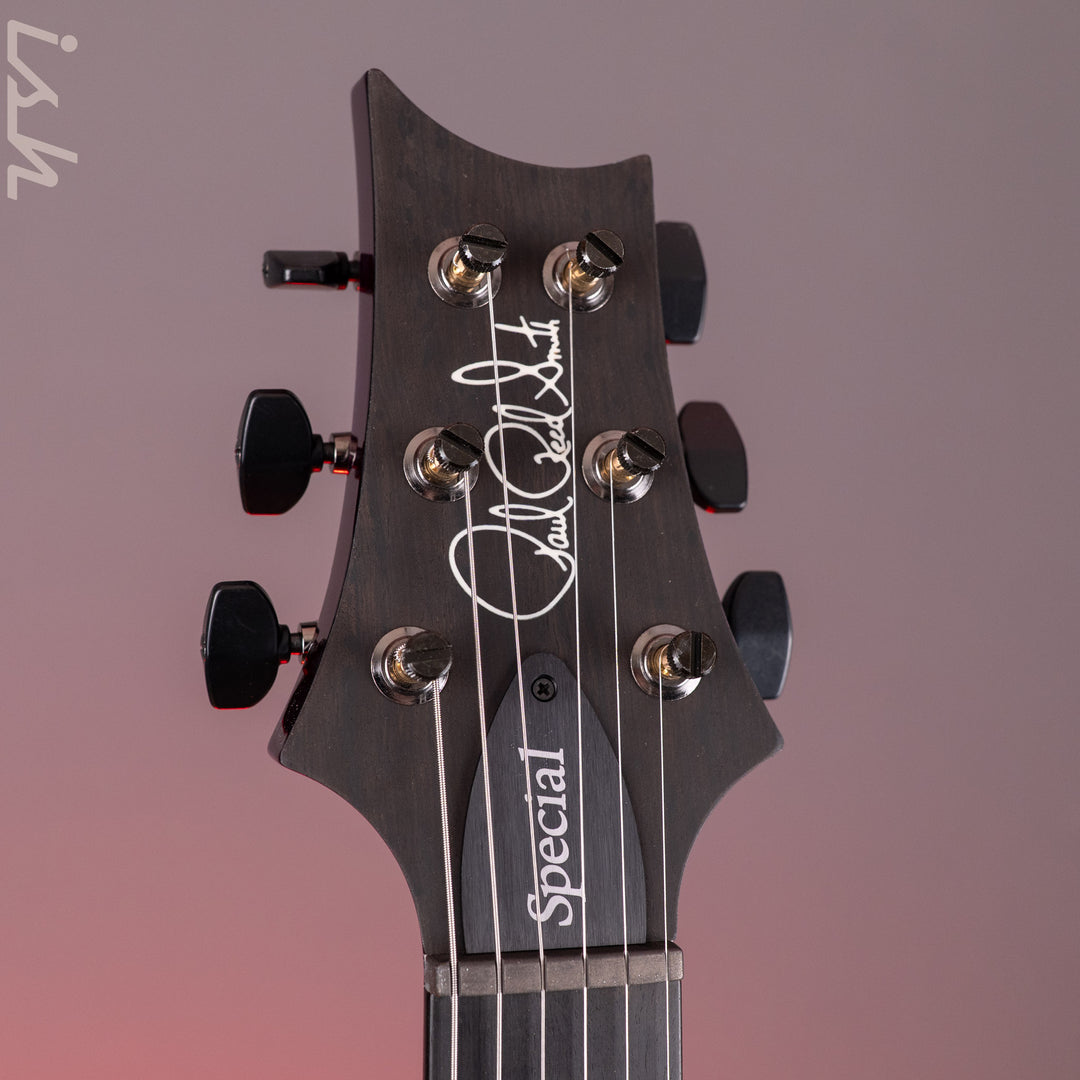 PRS Wood Library Special Semi-Hollow 10-Top Violet