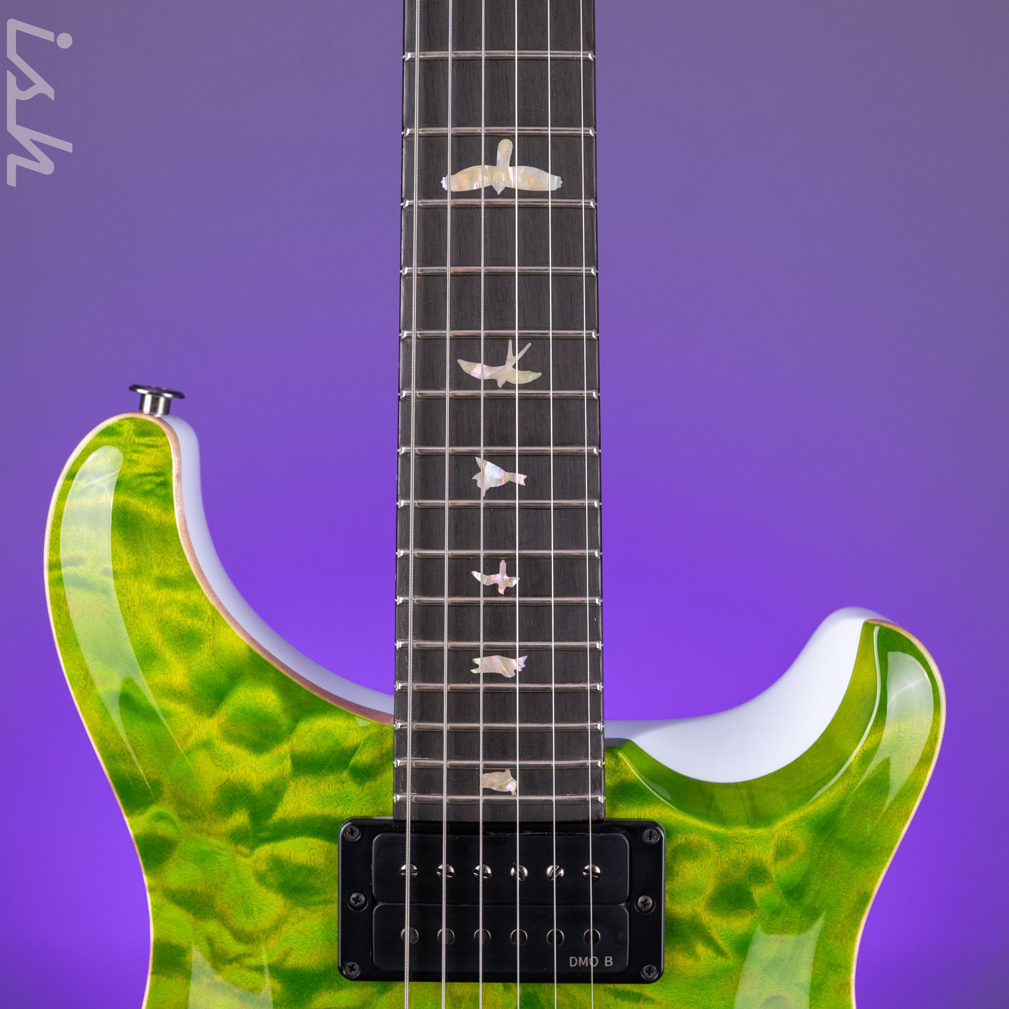 PRS Custom 24 Quilt Artist Top Eriza Verde Green with White Back
