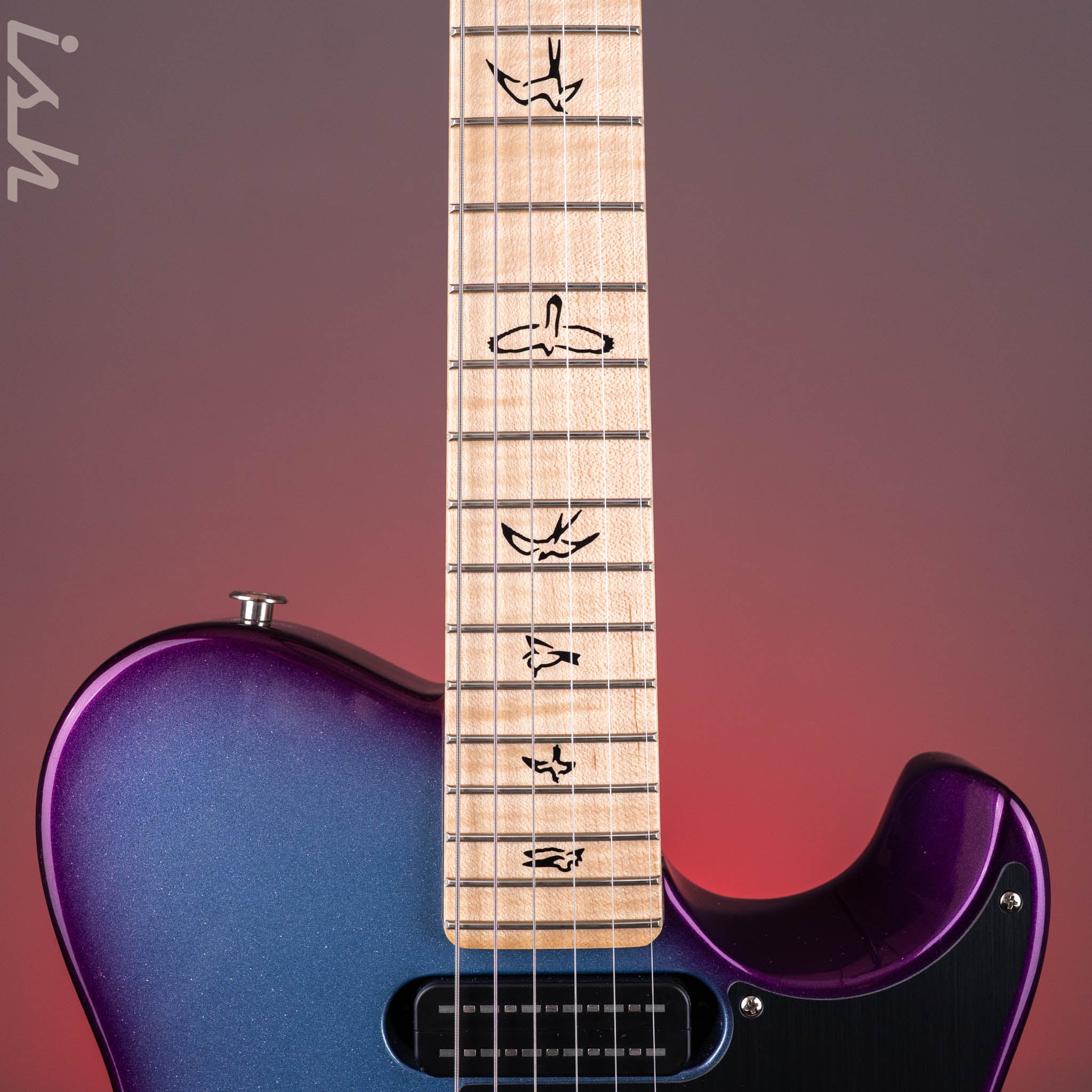 PRS NF 53 Sprayer's Choice Frost Blue Holoflake Purple Burst – Ish