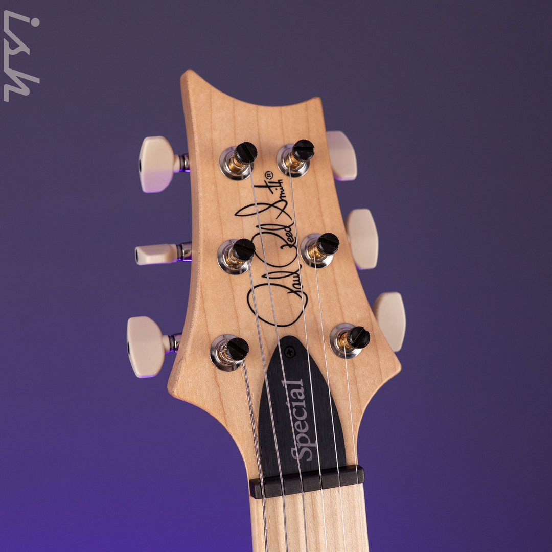 PRS Swamp Ash Special Sprayer&