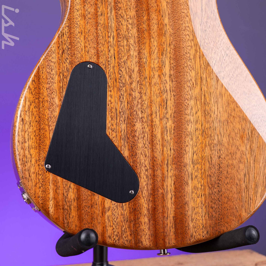 PRS Paul&