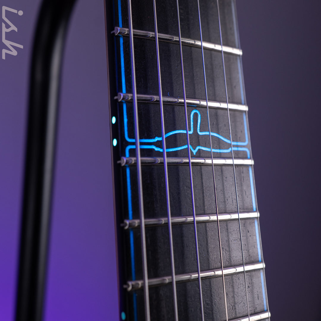 PRS Private Stock Custom 24 Pale Moon Ebony