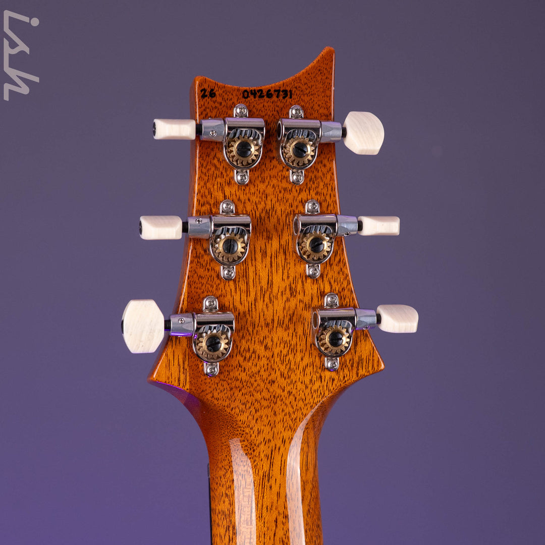 PRS DGT Semi-Hollow Tiger Eye Moon Inlays