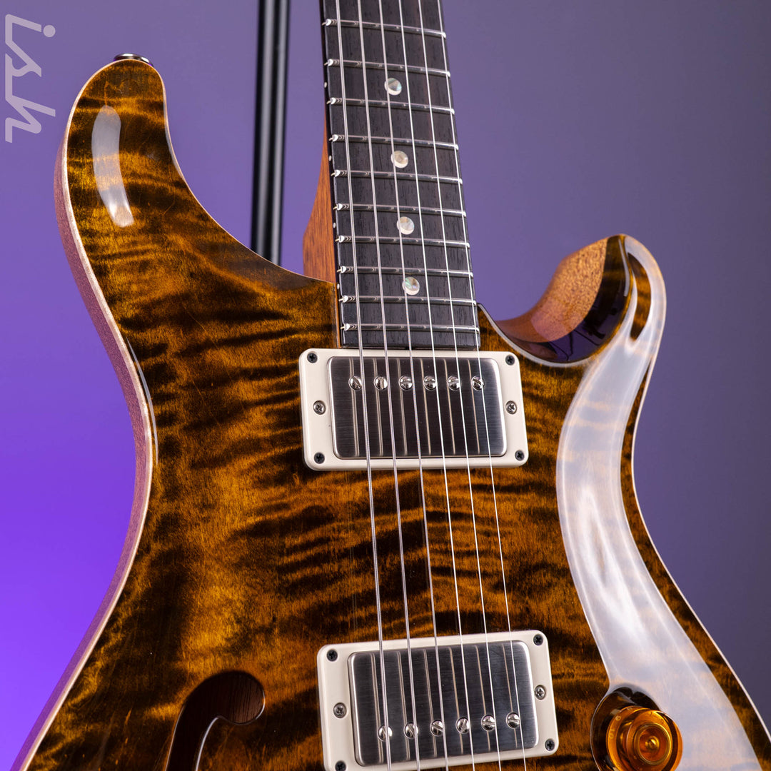 PRS DGT Semi-Hollow Tiger Eye Moon Inlays