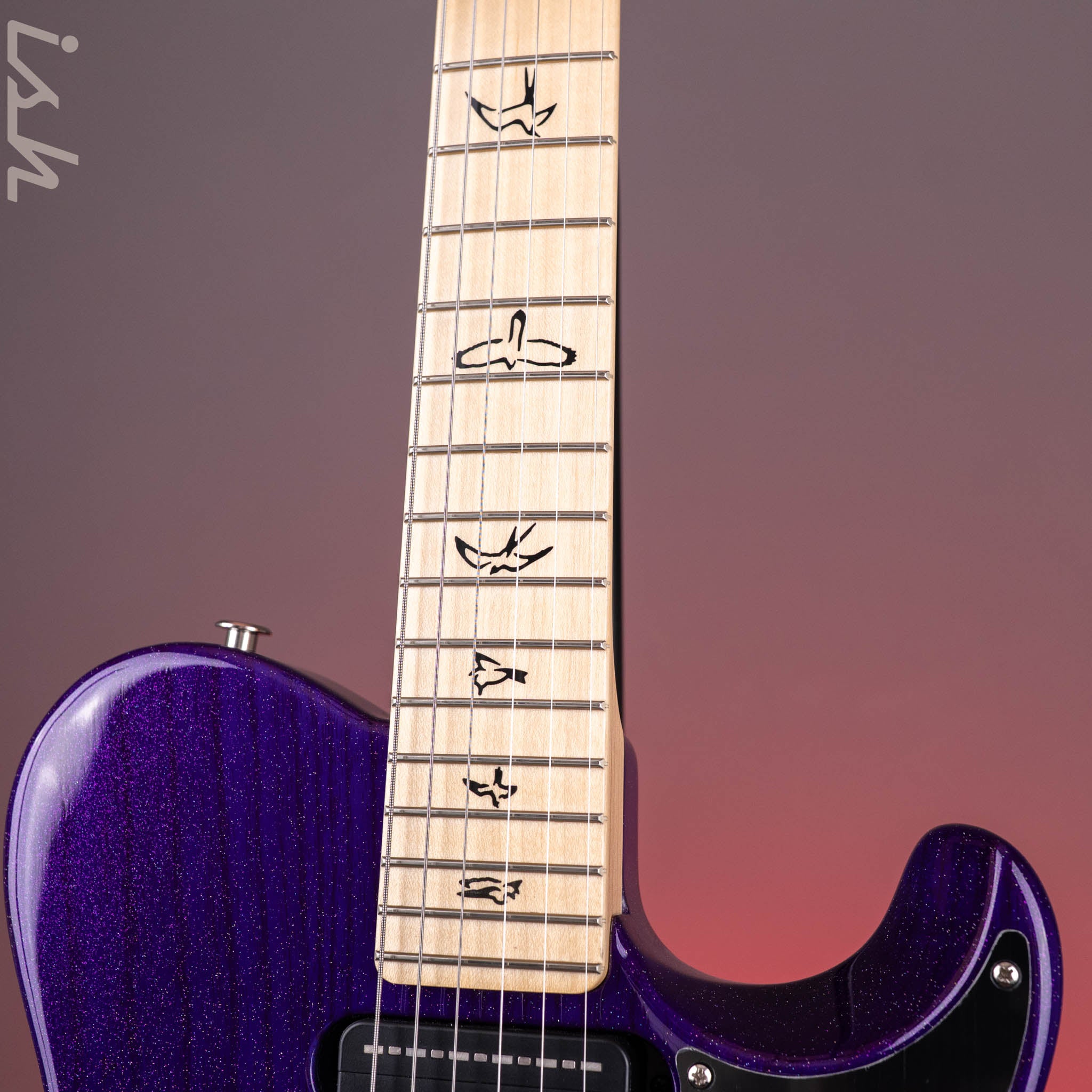 PRS NF 53 Sprayer's Choice Royal Purple Holoflake – Ish Guitars