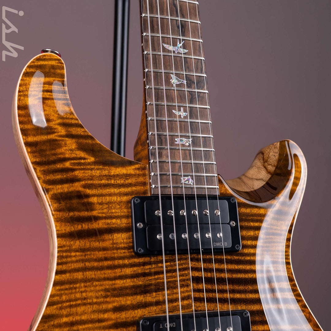 PRS Wood Library Custom 24 Stoptail Limited Edition 10-Top Tiger Eye