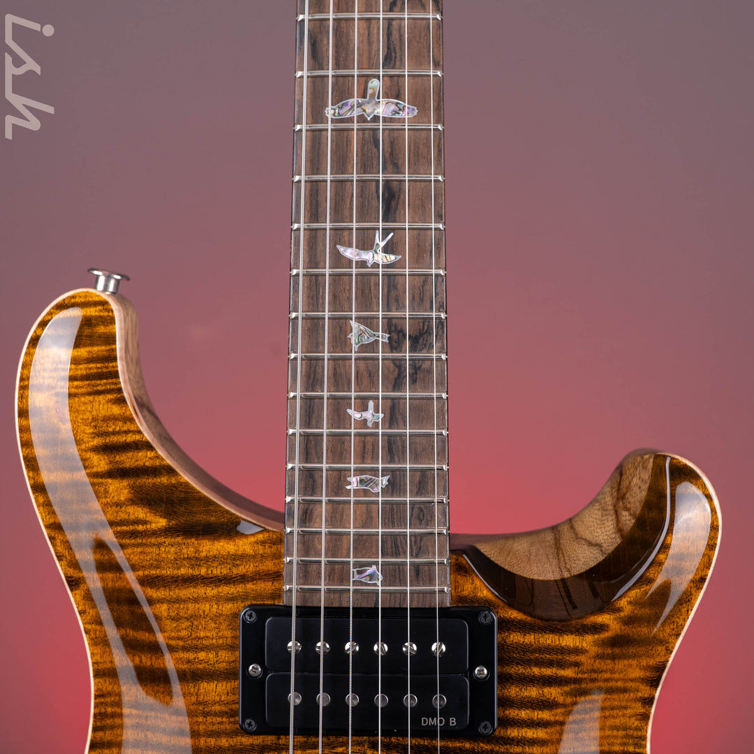 PRS Wood Library Custom 24 Stoptail Limited Edition 10-Top Tiger Eye