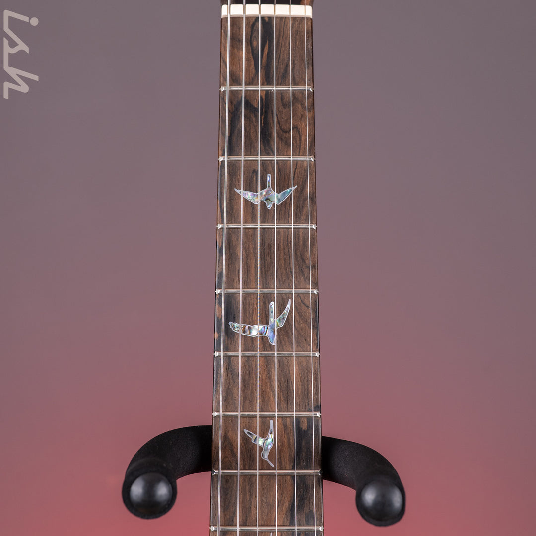 PRS Wood Library Custom 24 Stoptail Limited Edition 10-Top Tiger Eye