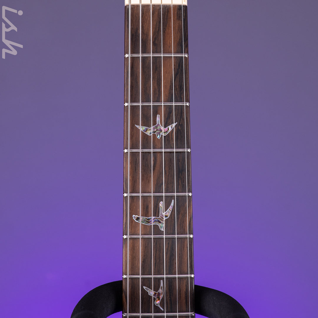 PRS Wood Library Custom 24 Stoptail Limited Edition 10-Top Custom Color Tiger Eye