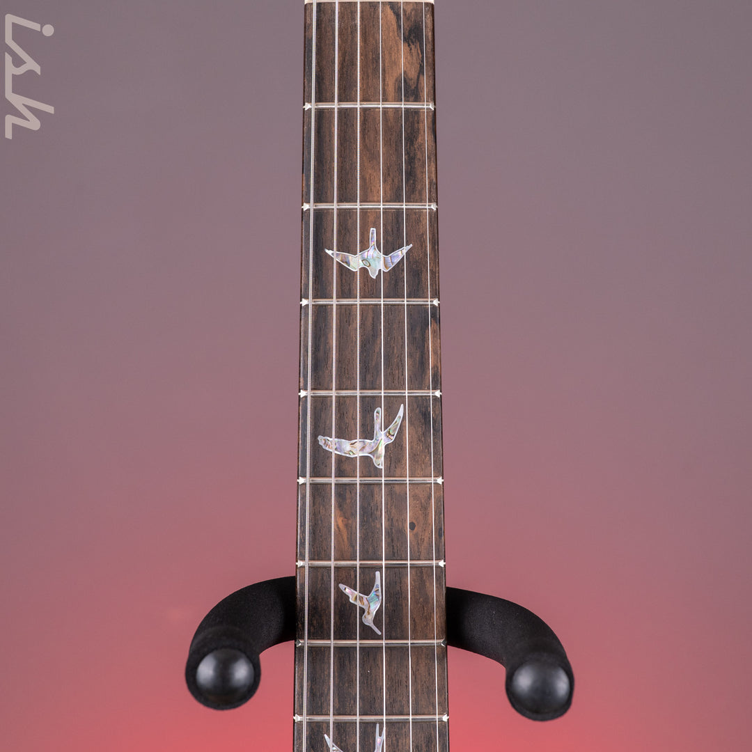 PRS Wood Library Custom 24 Stoptail Limited Edition 10-Top 1-pc Custom Color Whale Blue