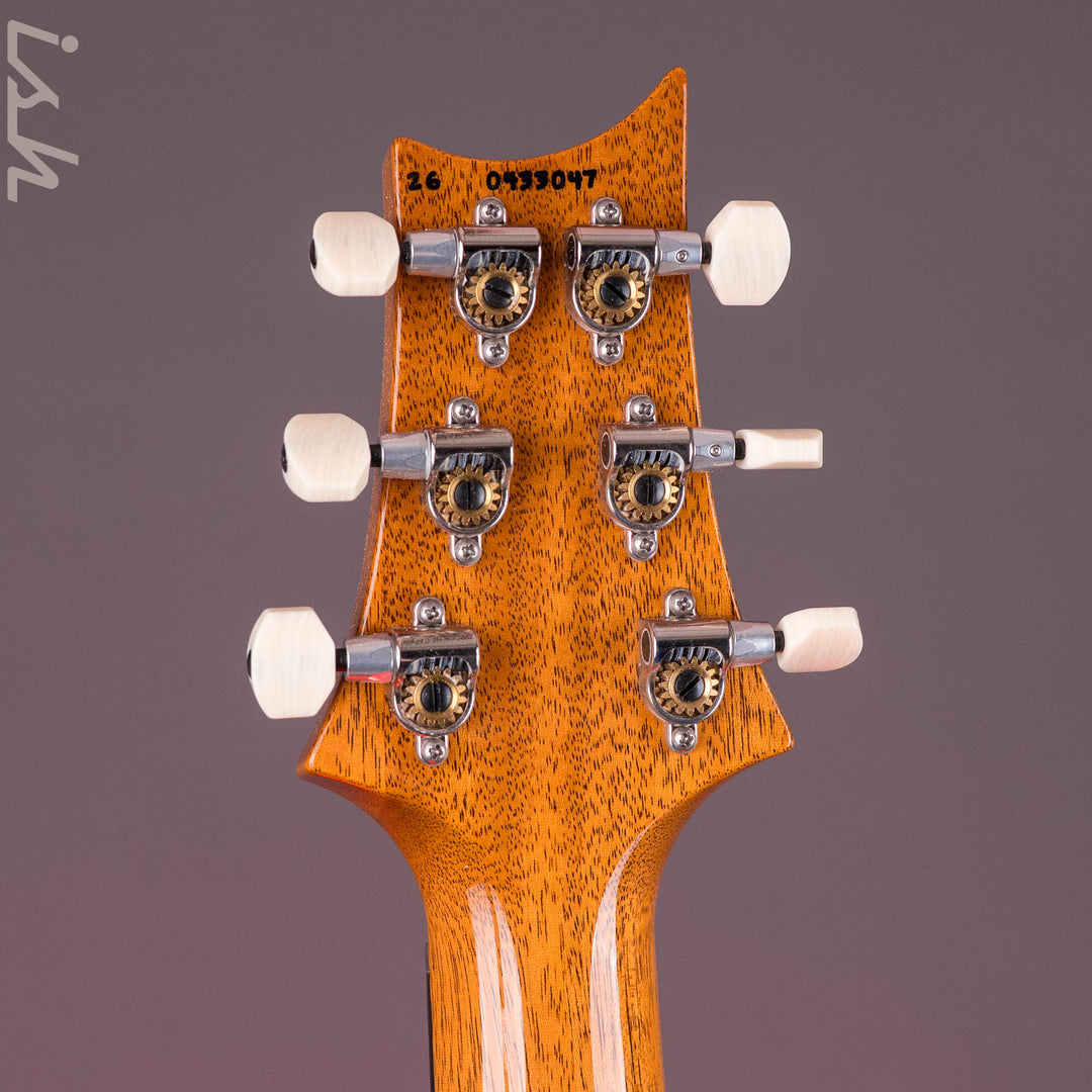 PRS DGT Semi-Hollow Sprayer&