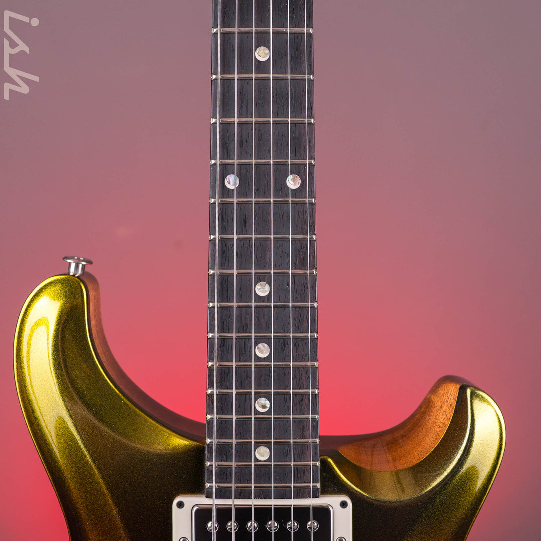 PRS DGT Semi-Hollow Sprayer&