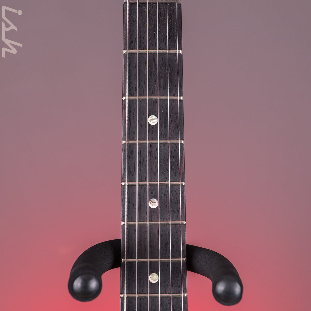 PRS DGT Semi-Hollow Sprayer&