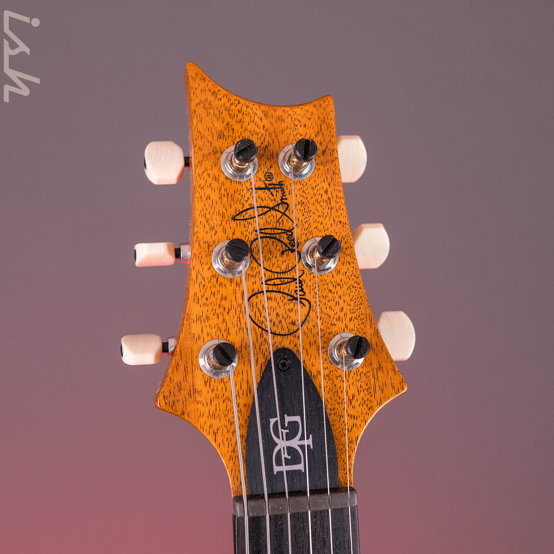 PRS DGT Semi-Hollow Sprayer&