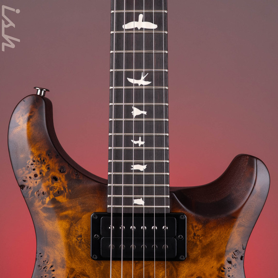 PRS Wood Library Select Limited S2 Custom 24 Poplar Burl Black Gold Burst