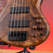 2023 MTD 535-24 5-String Bass NAMM Brown Walnut on Flamed Sycamore