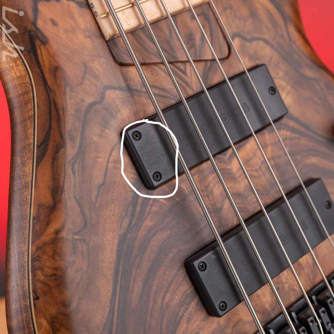 2023 MTD 535-24 5-String Bass NAMM Brown Walnut on Flamed Sycamore