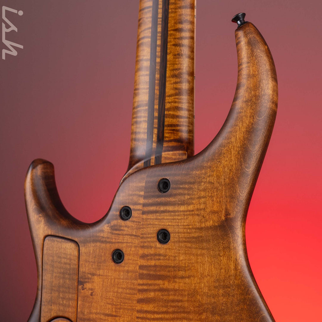 2023 MTD 535-24 5-String Bass NAMM Brown Walnut on Flamed Sycamore