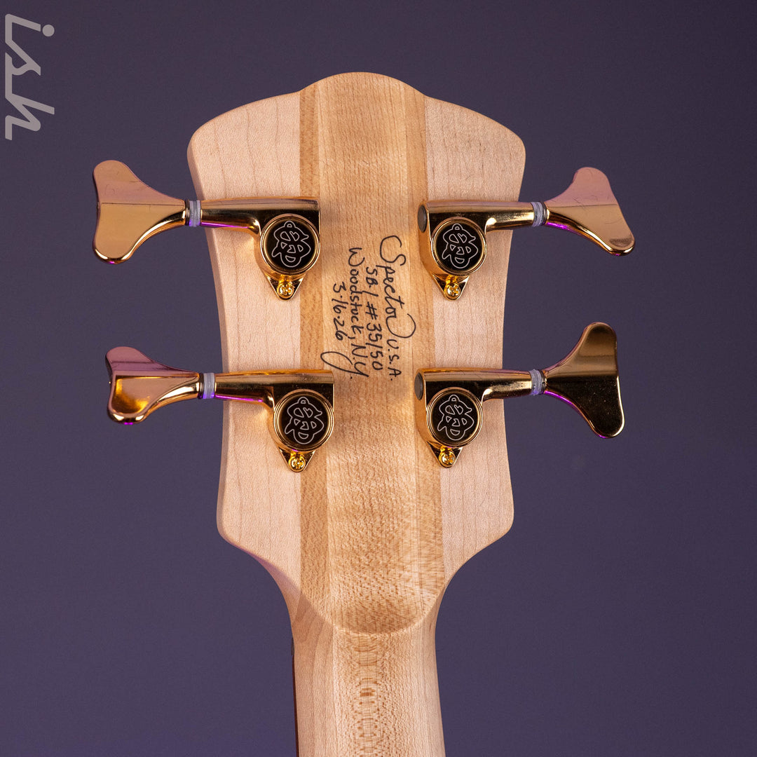 Spector USA SB-1 Reissue Limited Edition Lightly Figured Maple