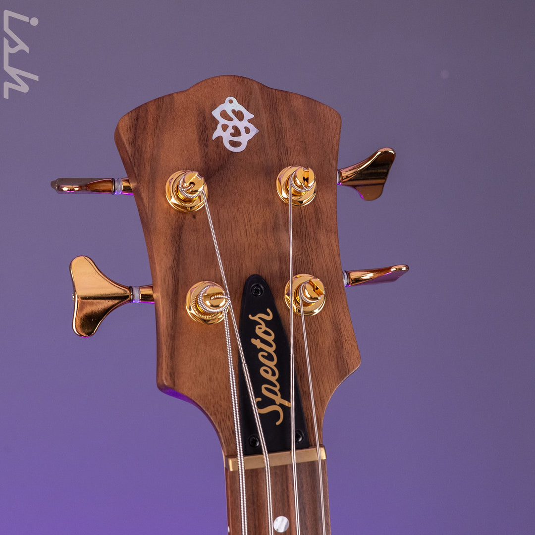 Spector USA SB-1 Reissue Limited Edition Walnut