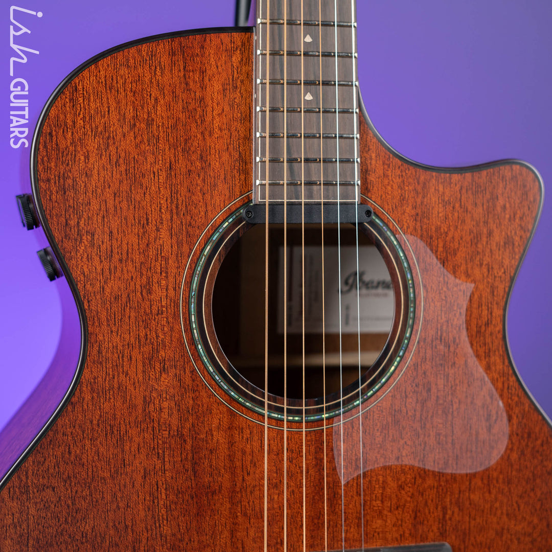Ibanez AE440 Platinum Collection Acoustic-Electric Guitar Natural Low Gloss Demo
