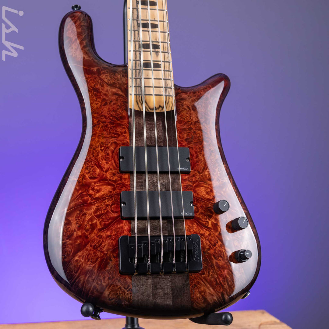 2021 Spector NS-5XL 5-String Bass Maple Burl Ale&