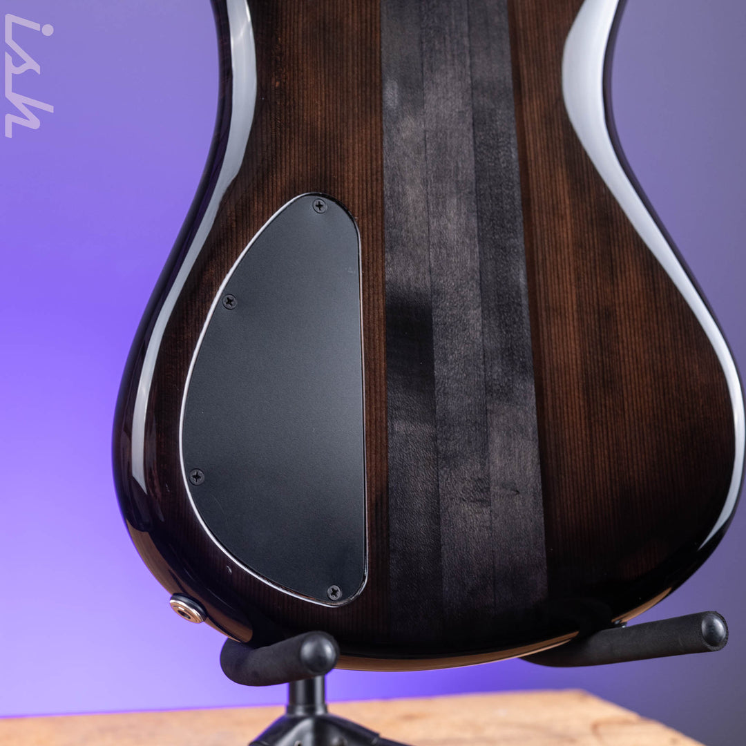 2021 Spector NS-5XL 5-String Bass Maple Burl Ale&