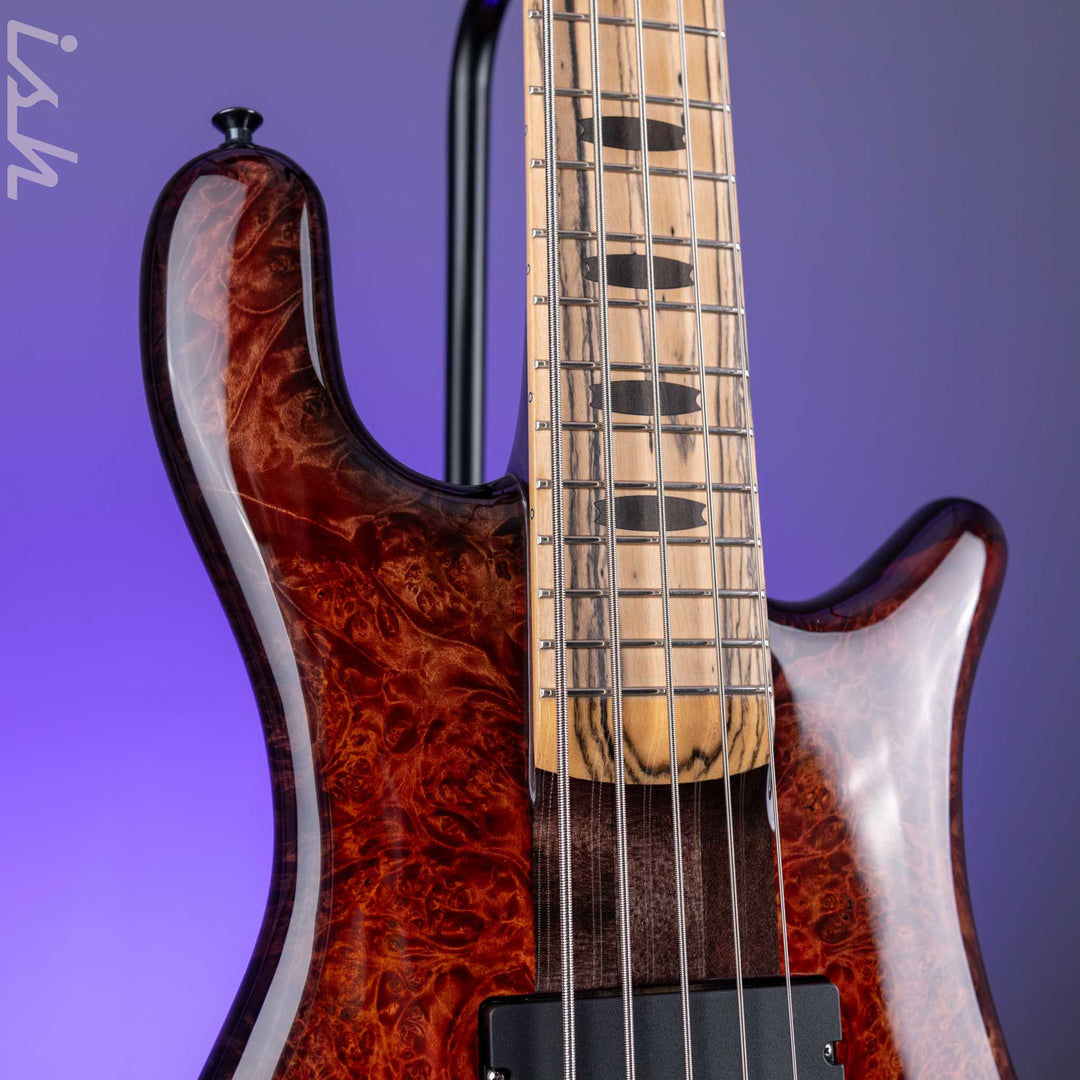 2021 Spector NS-5XL 5-String Bass Maple Burl Ale&