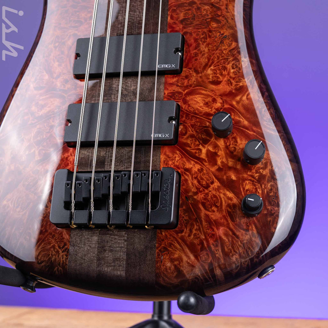 2021 Spector NS-5XL 5-String Bass Maple Burl Ale&