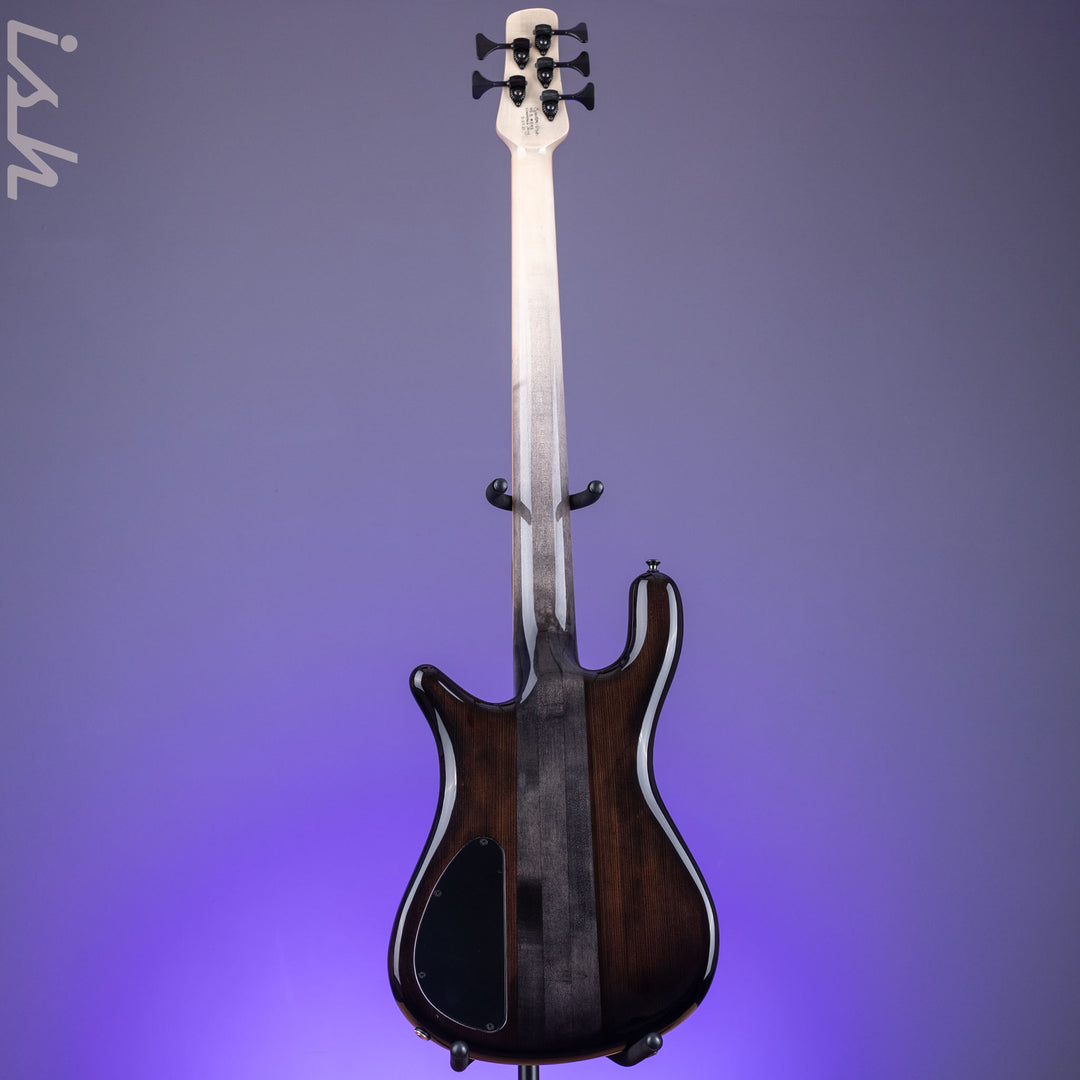 2021 Spector NS-5XL 5-String Bass Maple Burl Ale&