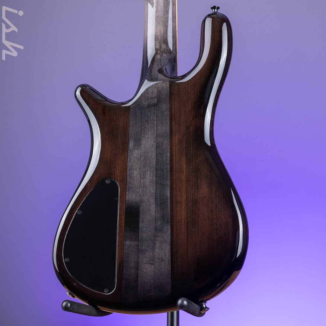 2021 Spector NS-5XL 5-String Bass Maple Burl Ale&