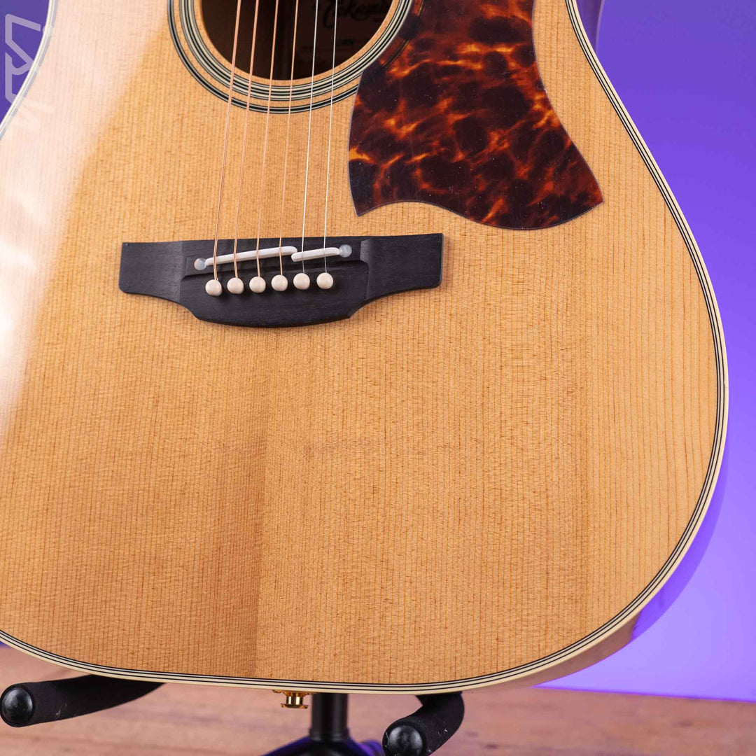 Takamine CRN-TS1 Slope Shoulder Dreadnought Acoustic-Electric Guitar Demo