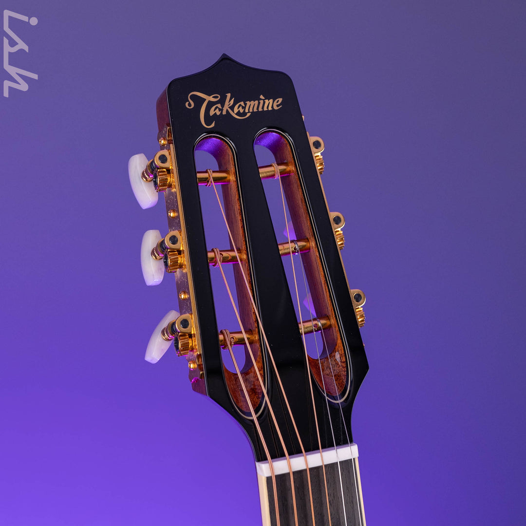Takamine CRN-TS1 Slope Shoulder Dreadnought Acoustic-Electric Guitar Demo