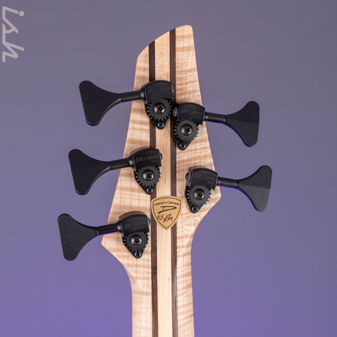 Dingwall Prima Artist Custom Shop 5-String Bass