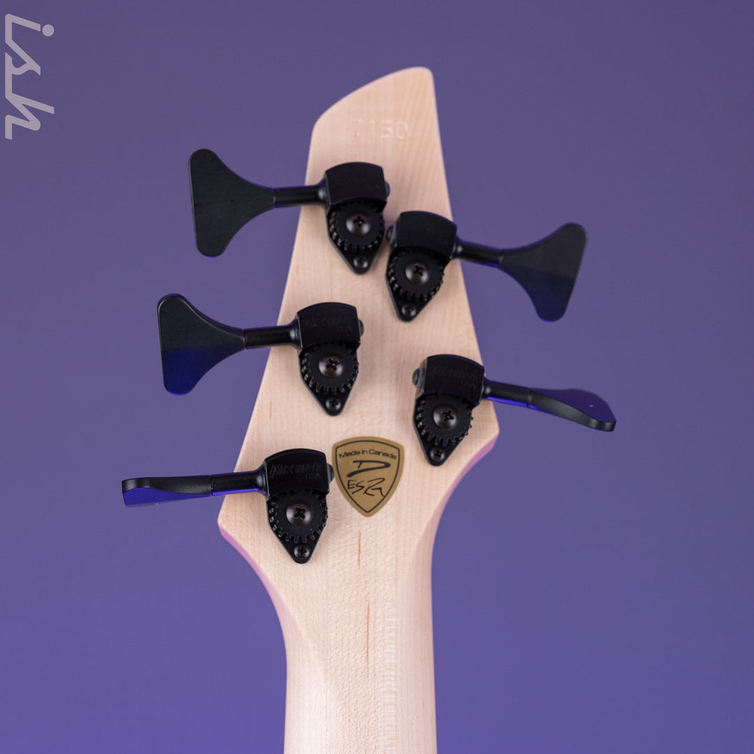 Dingwall Z Series 5-String Bass Northern Ash/Alder Frost Metallic