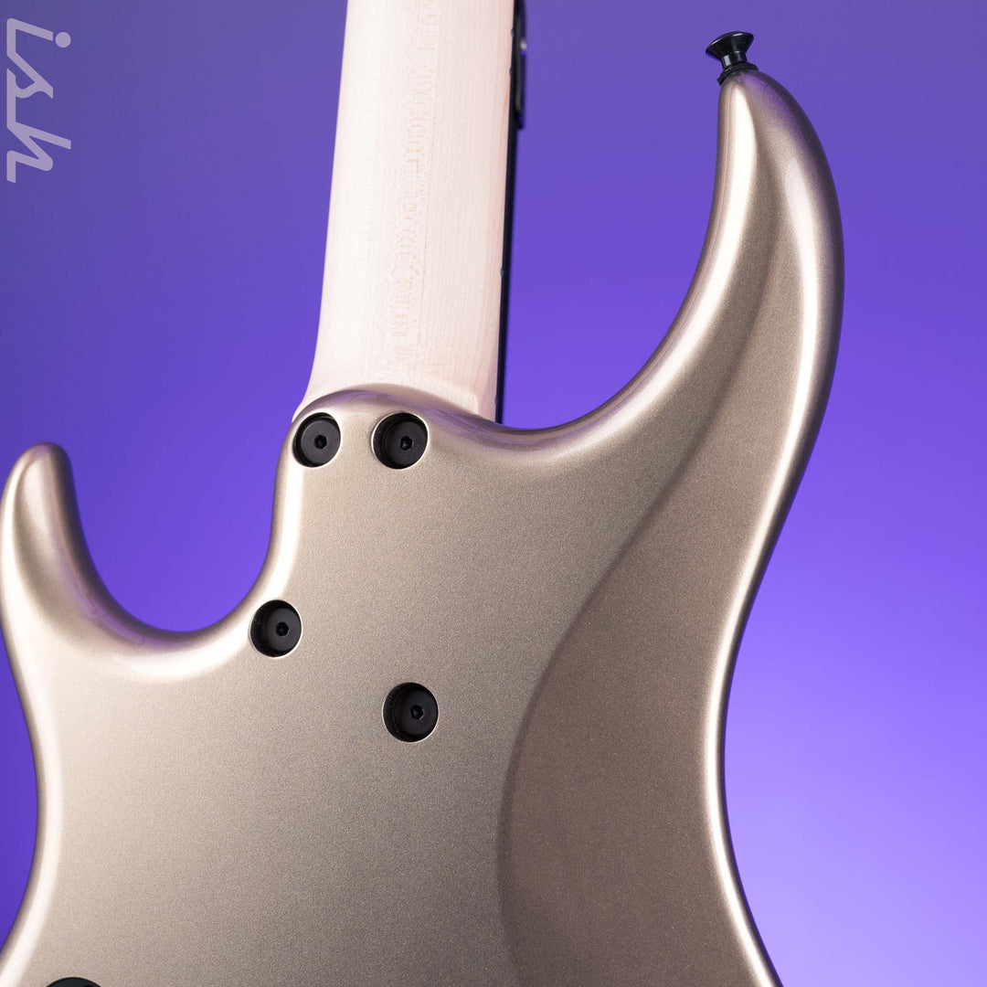 Dingwall Z Series 5-String Bass Northern Ash/Alder Frost Metallic
